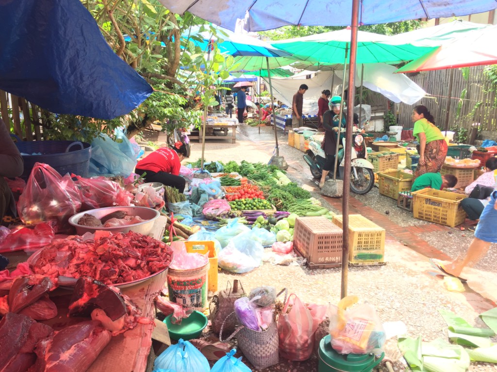 Luang Prabang Travel Blog -Morning Market