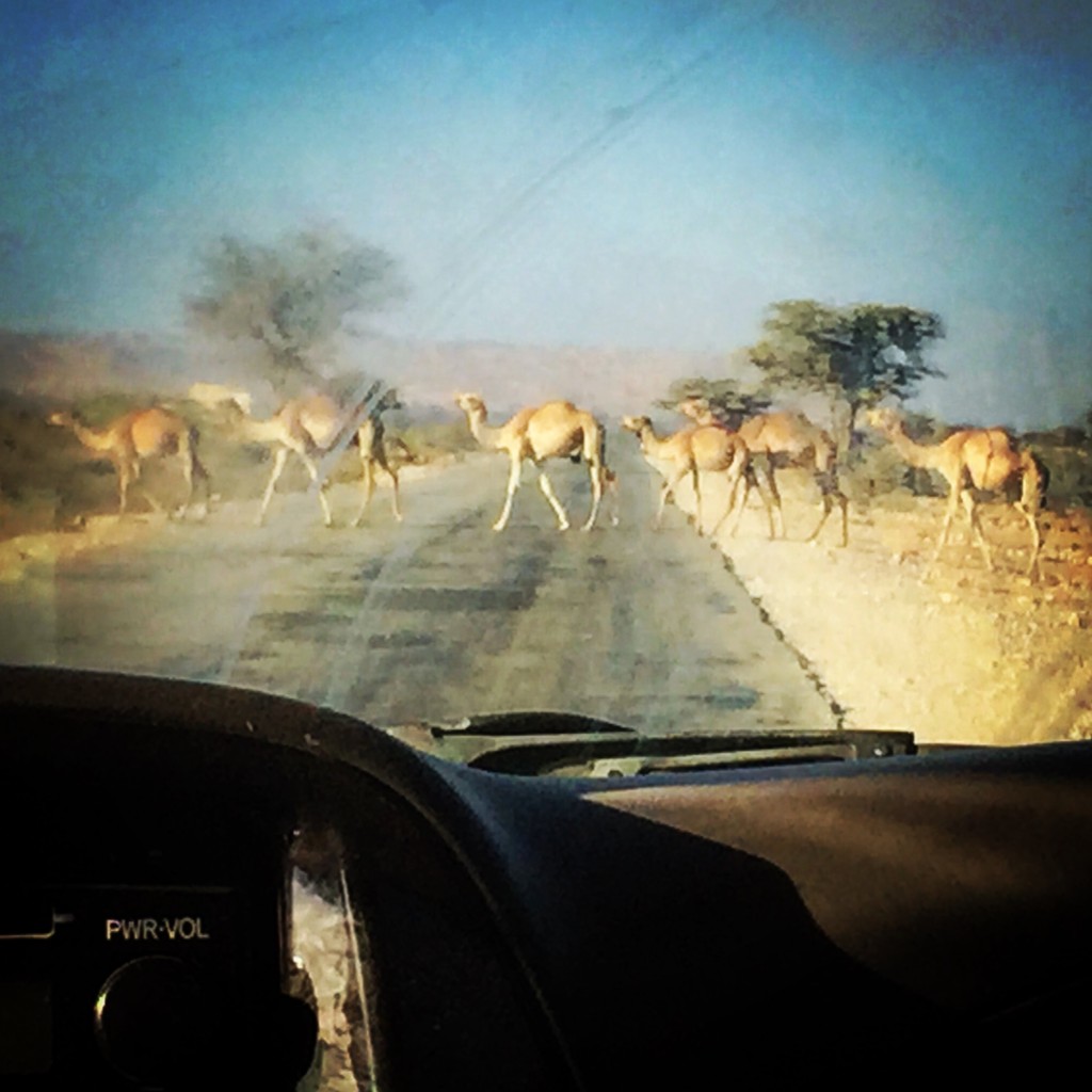 Somaliland Travel Blog