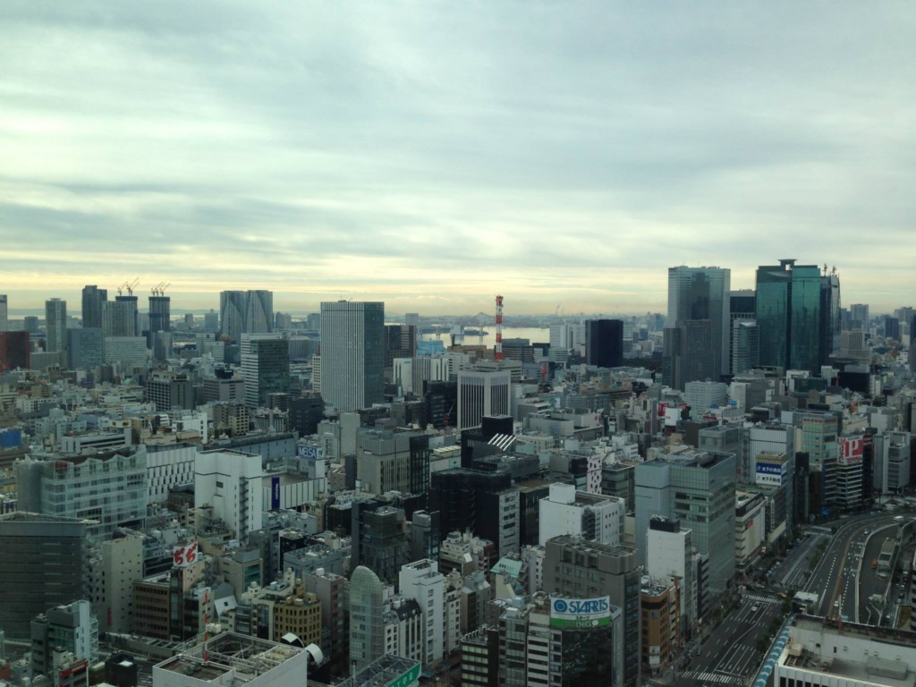 Tokyo Travel Blog - Japan 3