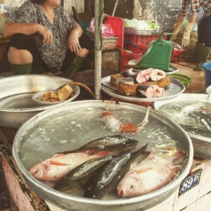 Saigon Travel Blog - Ho Chi Minh City Vietnam - Fish