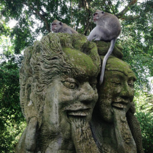 Ubud Travel Blog - Bali Indonesia - Monkey Forest